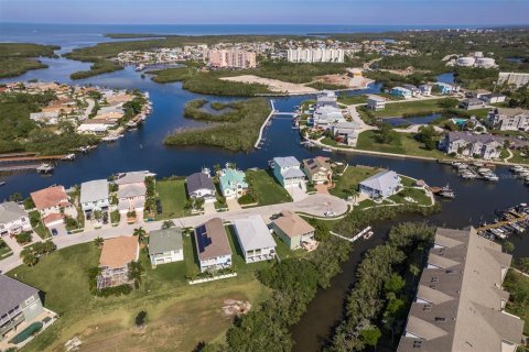 Land in New Port Richey, Florida № 1397900 - photo 17