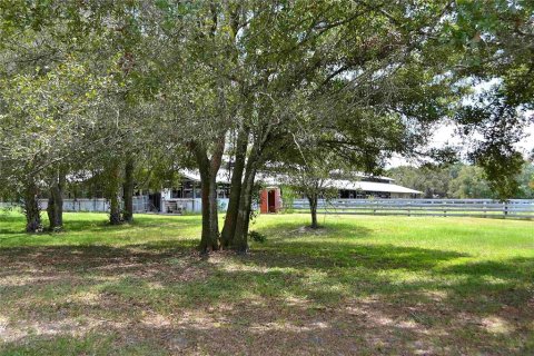 Land in Okeechobee, Florida № 2309817 - photo 13