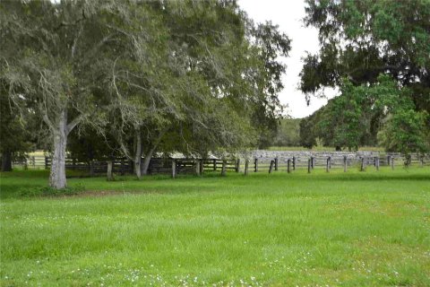Land in Okeechobee, Florida № 2309817 - photo 19