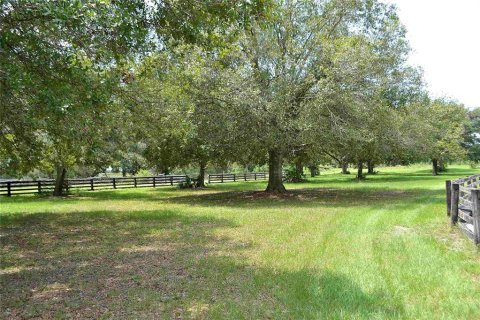 Land in Okeechobee, Florida № 2309817 - photo 15