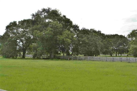 Land in Okeechobee, Florida № 2309817 - photo 18