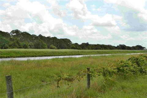 Land in Okeechobee, Florida № 2309817 - photo 16