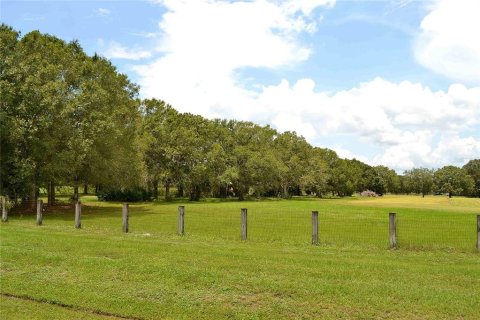 Land in Okeechobee, Florida № 2309817 - photo 10