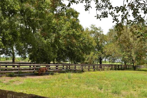 Land in Okeechobee, Florida № 2309817 - photo 12