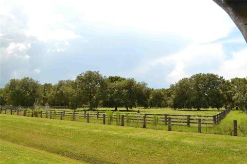 Land in Okeechobee, Florida № 2309817 - photo 9