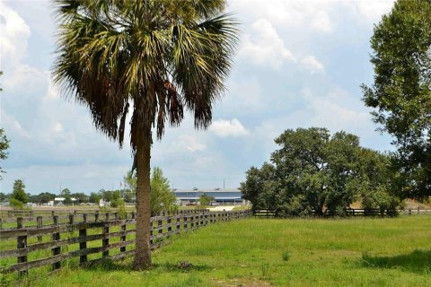 Land in Okeechobee, Florida № 2309817 - photo 11