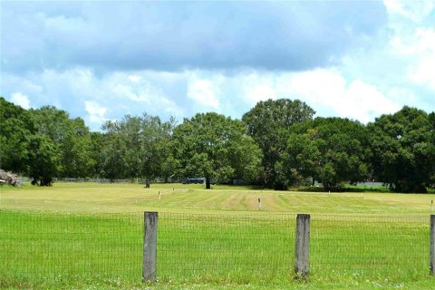 Land in Okeechobee, Florida № 2309817 - photo 24