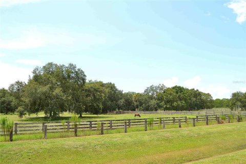 Land in Okeechobee, Florida № 2309817 - photo 8