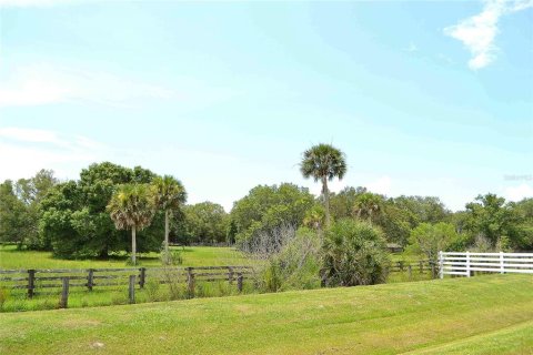 Land in Okeechobee, Florida № 2309817 - photo 2