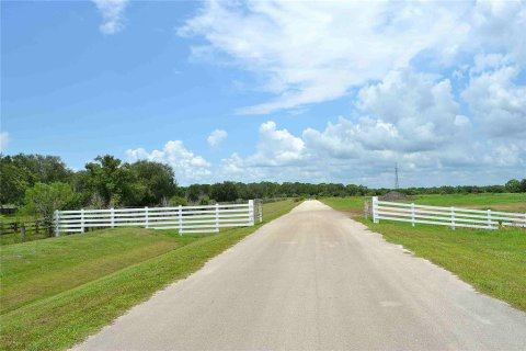 Land in Okeechobee, Florida № 2309817 - photo 4