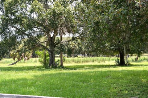 Land in Okeechobee, Florida № 2309817 - photo 21