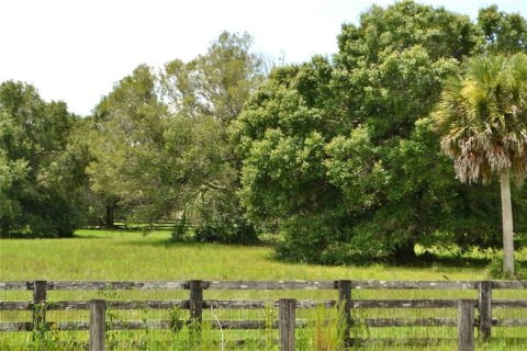 Land in Okeechobee, Florida № 2309817 - photo 25
