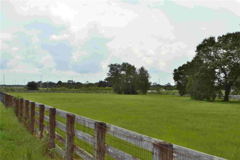 Land in Okeechobee, Florida № 2309817 - photo 17