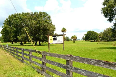 Land in Okeechobee, Florida № 2309817 - photo 20