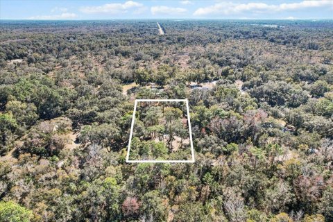 House in Crystal River, Florida 4 bedrooms, 217.02 sq.m. № 1552218 - photo 6