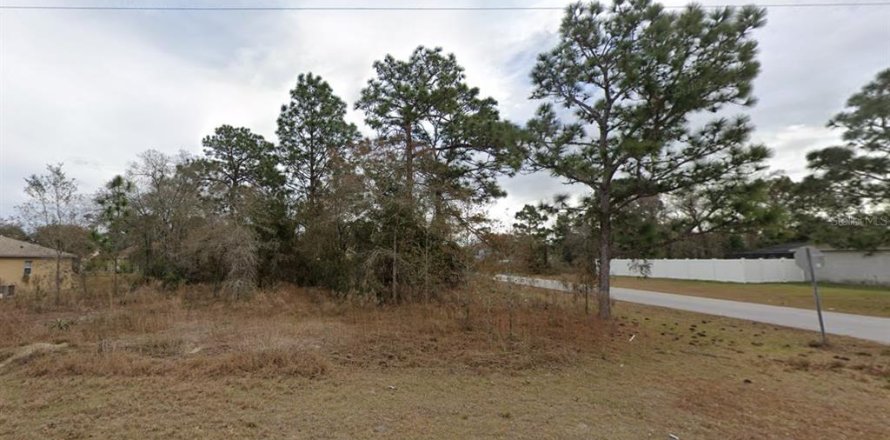Land in Spring Hill, Florida № 1311450