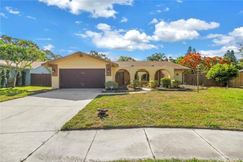 House in Largo, Florida 3 bedrooms, 278.43 sq.m. № 2221243