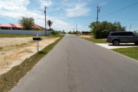 Terreno en venta en Cape Coral, Florida № 2096893 - foto 13