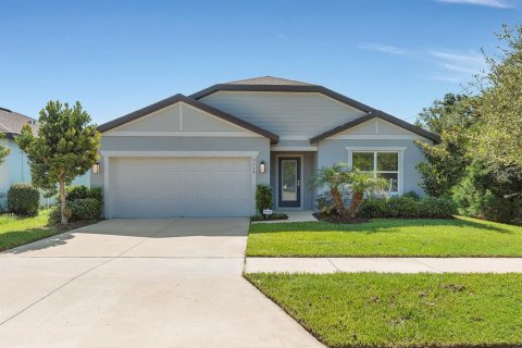 Villa ou maison à SUMMERS CAY à Thonotosassa, Floride 4 chambres, 223.89 m2 № 2149914