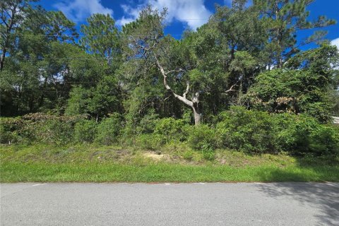 Land in Inverness, Florida № 2379449 - photo 2