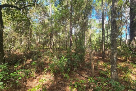 Land in Inverness, Florida № 2379449 - photo 7