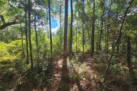 Land in Inverness, Florida № 2379449 - photo 11