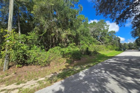 Land in Inverness, Florida № 2379449 - photo 3