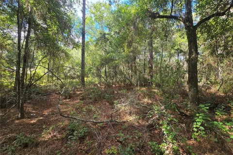 Land in Inverness, Florida № 2379449 - photo 6