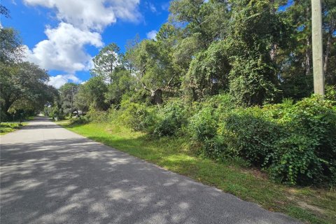 Land in Inverness, Florida № 2379449