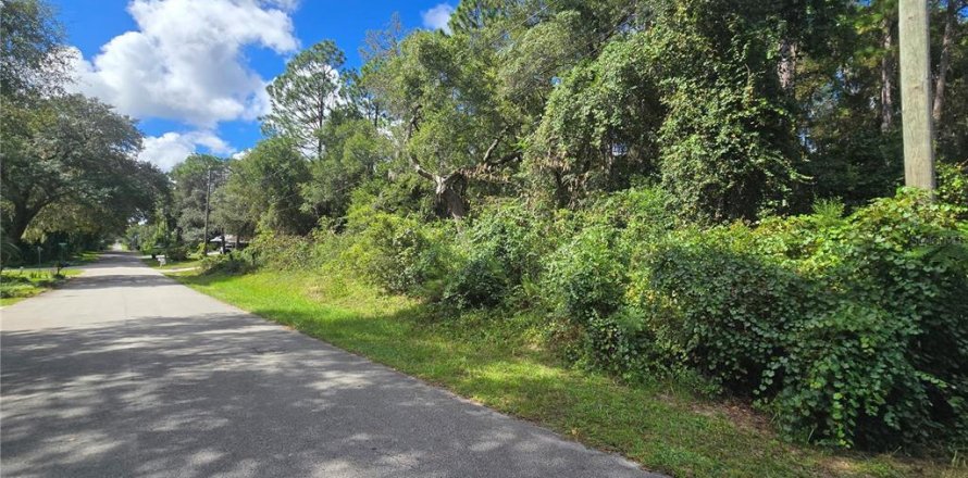 Land in Inverness, Florida № 2379449