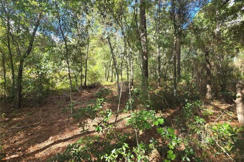 Land in Inverness, Florida № 2379449 - photo 4