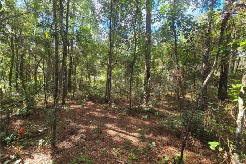 Land in Inverness, Florida № 2379449 - photo 8