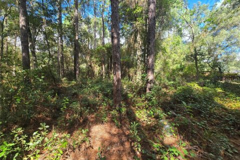 Land in Inverness, Florida № 2379449 - photo 10