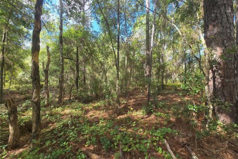 Land in Inverness, Florida № 2379449 - photo 12