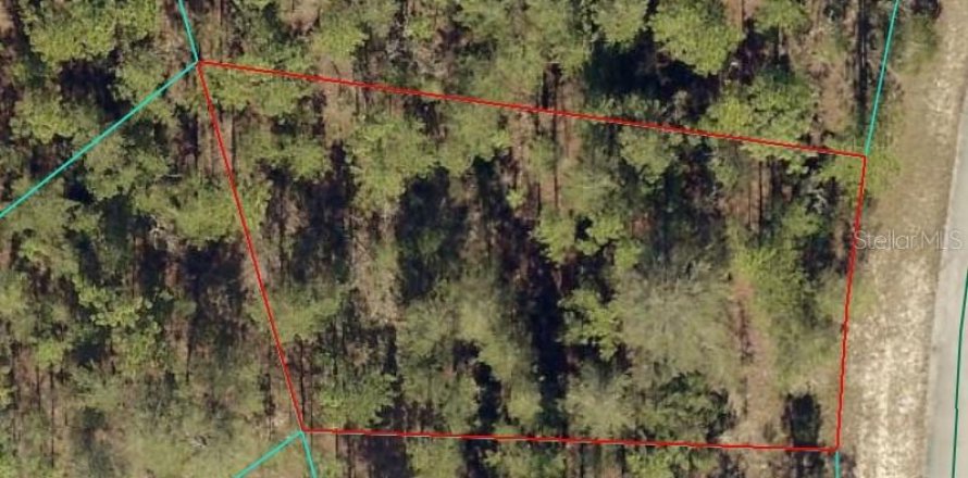 Terrain à Ocala, Floride № 1912054