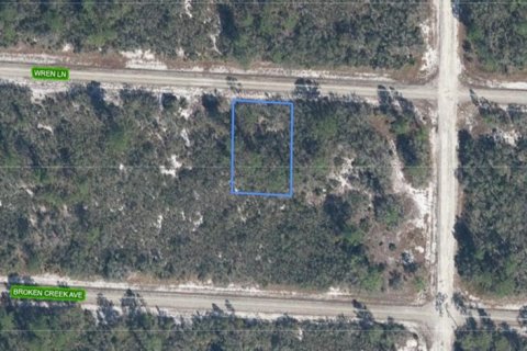 Land in Lake Placid, Florida № 2218171