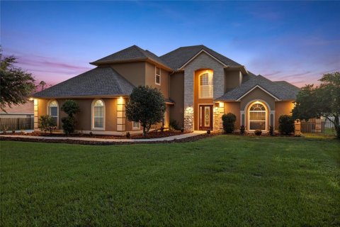 Villa ou maison à Groveland, Floride 5 chambres, 361.11 m2 № 2324516