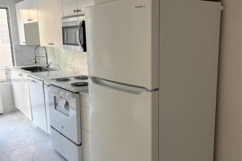 Снять в аренду виллу или дом в Майами, Флорида 2 спальни, 65.03м2, № 1986724 - фото 7