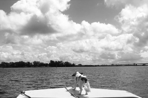Land in Port Charlotte, Florida № 2162157 - photo 3