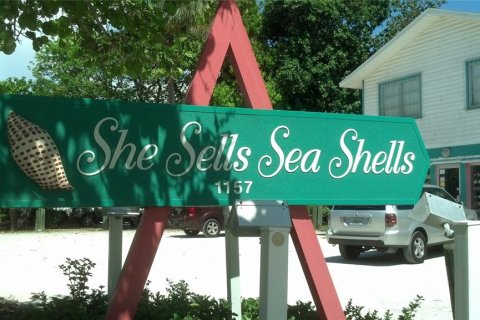 Land in Port Charlotte, Florida № 2162157 - photo 13