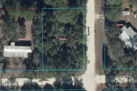 Terrain à Williston, Floride № 2345075