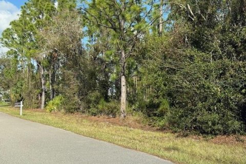 Land in Port Charlotte, Florida № 2162736