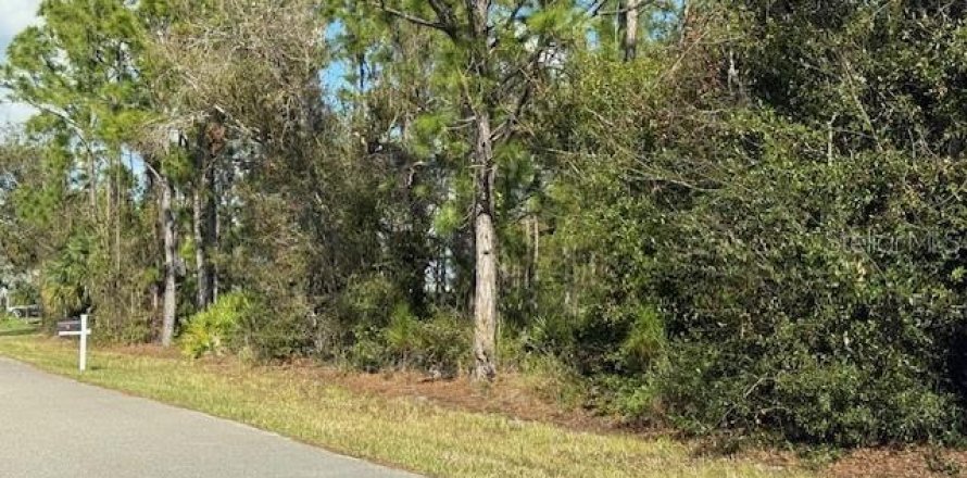 Land in Port Charlotte, Florida № 2162736