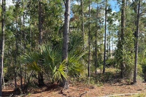 Land in Port Charlotte, Florida № 2162736 - photo 2