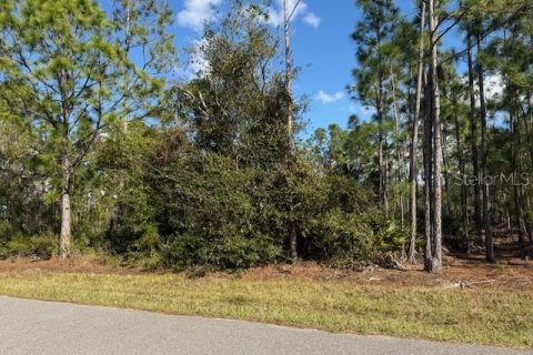 Land in Port Charlotte, Florida № 2162736 - photo 4