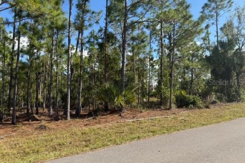 Land in Port Charlotte, Florida № 2162736 - photo 3