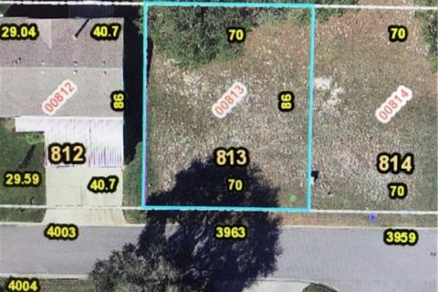 Land in Zellwood, Florida № 2162971