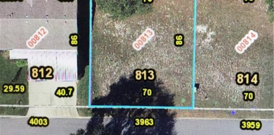 Land in Zellwood, Florida № 2162971