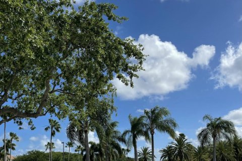 Commercial property in Palm Beach Gardens, Florida № 2087729 - photo 19