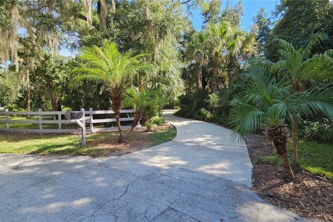 Villa ou maison à vendre à Port Orange, Floride: 4 chambres, 215.53 m2 № 2395710 - photo 22